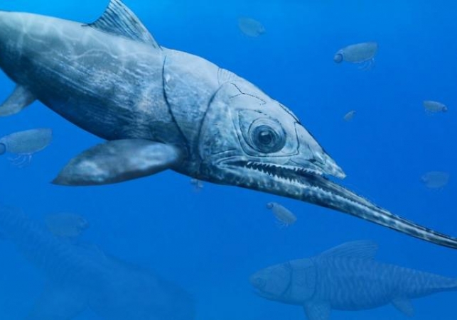 Alienacanthusem malkowskii