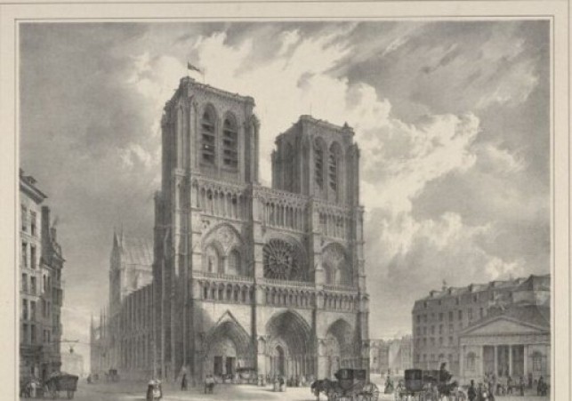 katedra notre dame