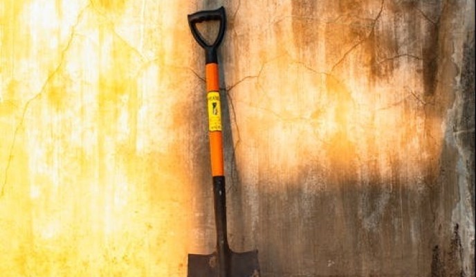 pexels-photo-3635418