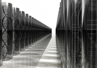 bank DNA